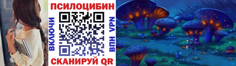 Галлюциногенные грибы Psilocybe  Купить закладки  Кировград 